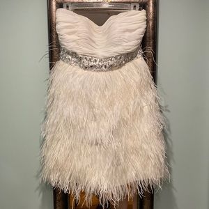 Stunning Feather and Jeweled Dress